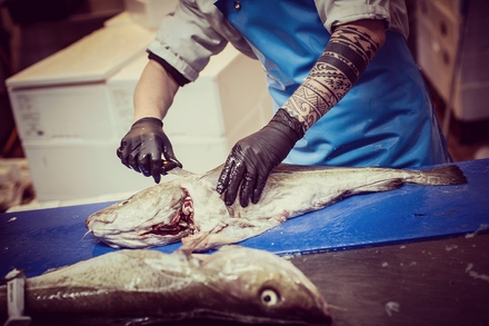 Foto van Heijvis Visverwerking in actie